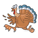 TURKEYYYYYY TEAMMMMM