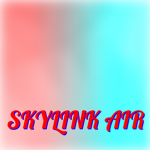 SkyLink Air