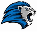 Team of lions