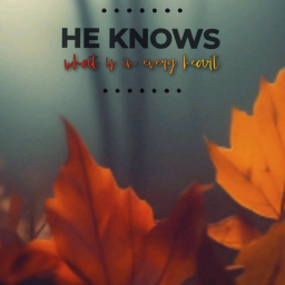 ꒰🍁꒱