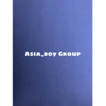 Asia_b0y Group
