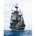 The VOC
