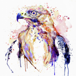 Raptor Border