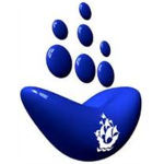 bluepeterguy's Group