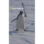 قروب الاساطير بسس