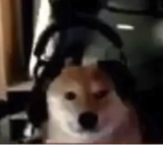 zoacc