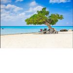 The Aruba Clothing Company!