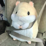 kittens hamsters
