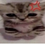 CrispyKillerHood