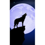 #The Wolf Pack :)