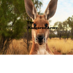 The Kangaroo Army