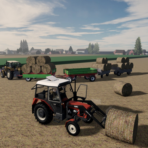 Polska wies v1