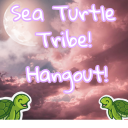 Sea Turlte Tribe Hangout!