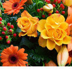 Blooming.Flower