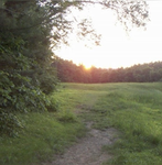 Wanderfulplace
