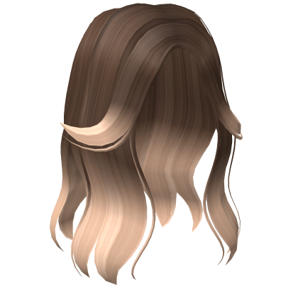 Aesthetic Split Bangs Hair in Brown to Blonde