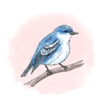 -*Birds United*-