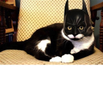 Bat Catz