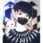 Fans de Animes