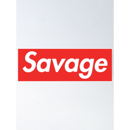 Savage wars