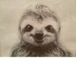 Sloth Sloths!