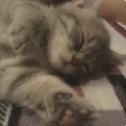♡