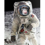Monke Space Program