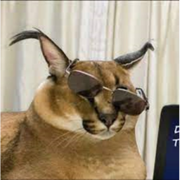 Floppa Clicker Simulator🐈!