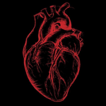•ʜᴇᴀʀᴛᴀᴄʜᴇ•