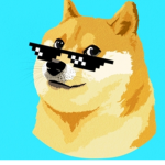Cool dogess