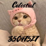 Celestial UNR