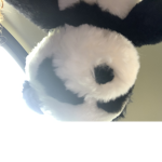 Poke1234567890