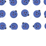 Christal’s Blueberries