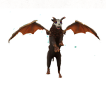 The Dragon Lion Studios