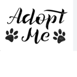Respect Animals