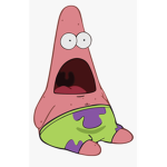 Patrick protectors