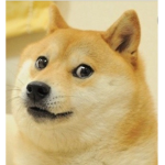 King Doge Studios