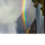 Rainbow_fan group