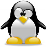 HAIL PENGUIN