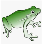 The Froggy One Official Fan Group