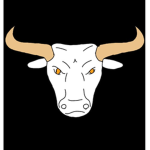 touros brancos