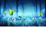 BUTTERFLY LIONS