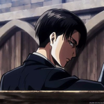 The Levi groups