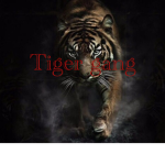 -NYC- Tiger Gang