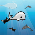 Majik Whales