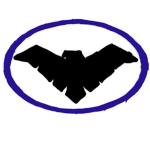 Nightwings squad