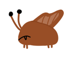 The bed bug biters