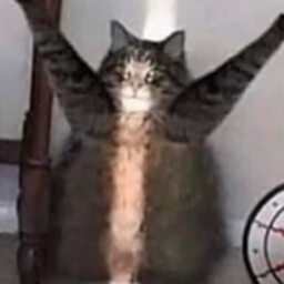 Epic Friens Obby!