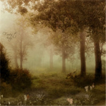 Enchant Brook