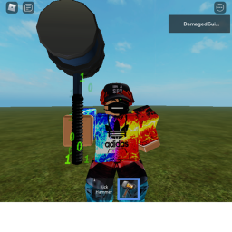 Damaged's Chart Obby